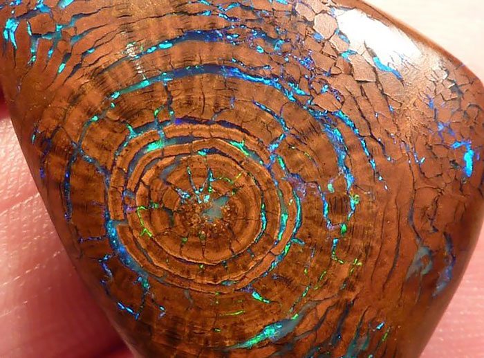 fosil-gorunumlu-opal